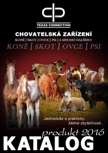 Katalog